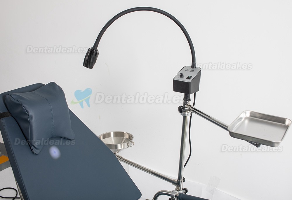 Greeloy GU-P101 Silla Plegable Dental Portátil + GU-P102 Lampara Cirugia Luz de Examen Dental